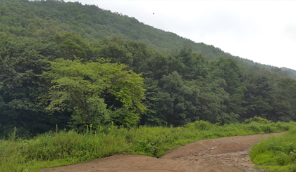 20150316_163449.jpg